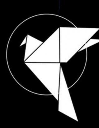 T-shirt noir - Colombe coeur